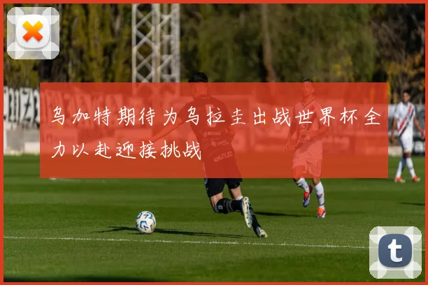 乌加特期待为乌拉圭出战世界杯全力以赴迎接挑战